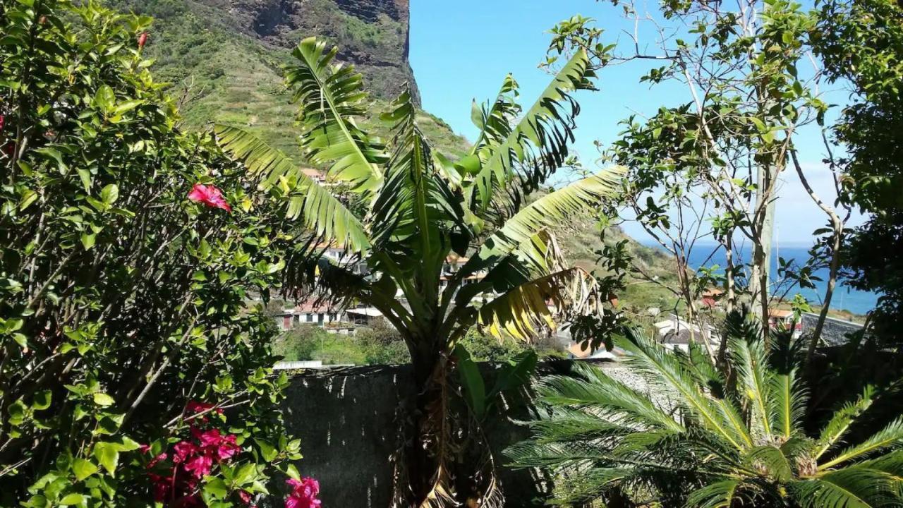 Vila House Pc Porto Da Cruz Exteriér fotografie